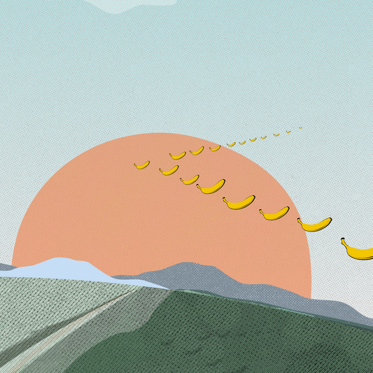 Banana Migration Print