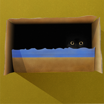 Cat In The Box Print