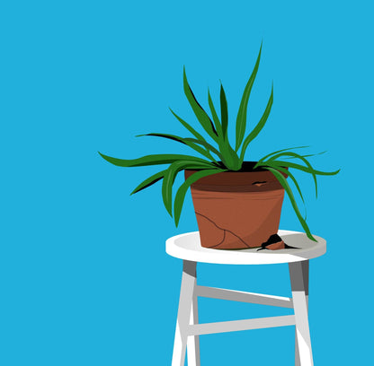 Neglected Houseplant Print